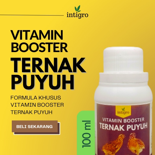 *MBS* Vitamin Burung Puyuh Petelur / Obat Puyuh Petelur / Vitamin Puyuh Petelur / Vitamin Untuk Puyuh