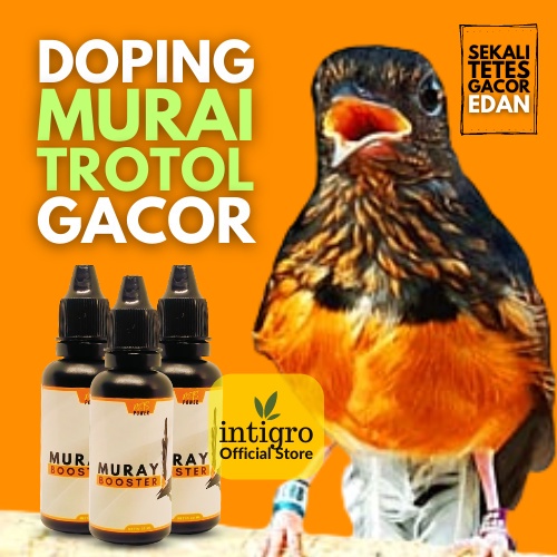 ( Restoe ) Vitamin Murai Trotol Agar Gacor / Vitamin Burung Murai Batu Trotolan / Doping Burung Mura