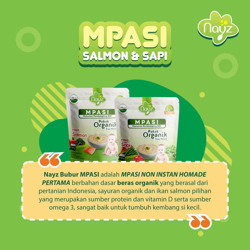 Nayz Bubur Organik MPASI / Bubur Tematik Organic