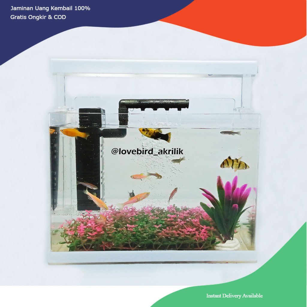 Aquarium Acrylic, Mini Aquarium, Aquarium Mini, Aquarium Akrilik, Aquarium lengkap, Aquarium fullset