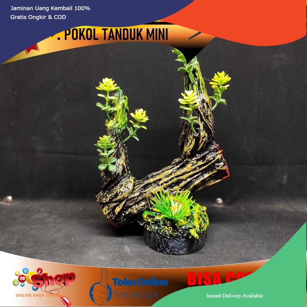 Dekorasi aquarium kayu pongkol, dekorasi aquarium tanaman dan kayu, hiasan aquarium kayu pongkol, hi