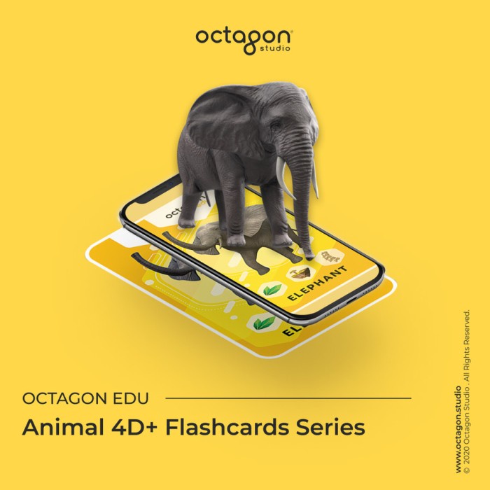 Kartu Animal 4D+ /  Card / Mainan Edukasi Anak Octagon Studio