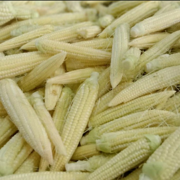 

Jagung semi 250gr - 1/4 kg