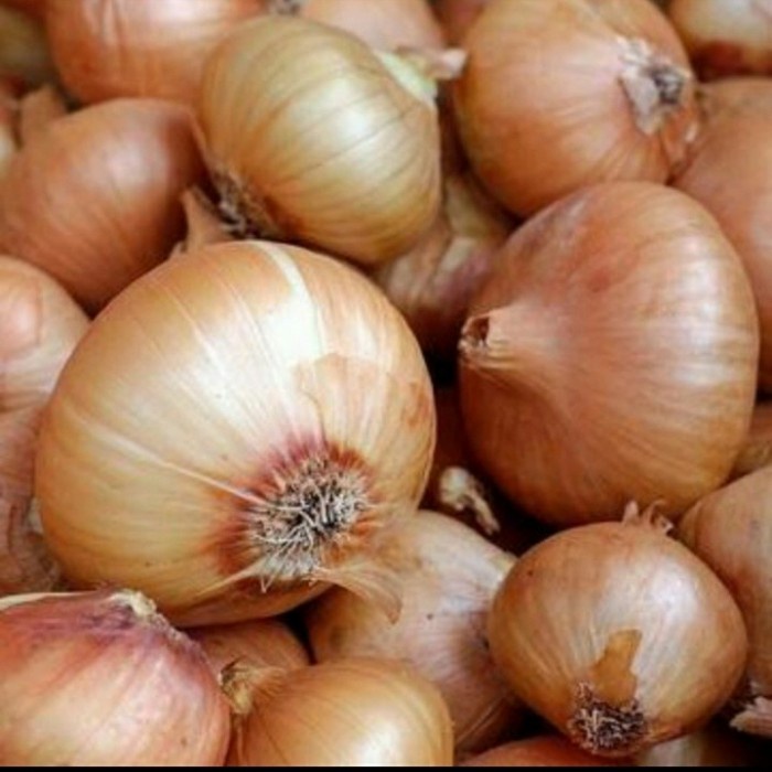 

Bawang bombay 250gr