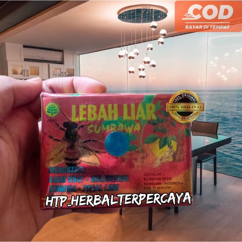 

Lebah Liar Kapsul