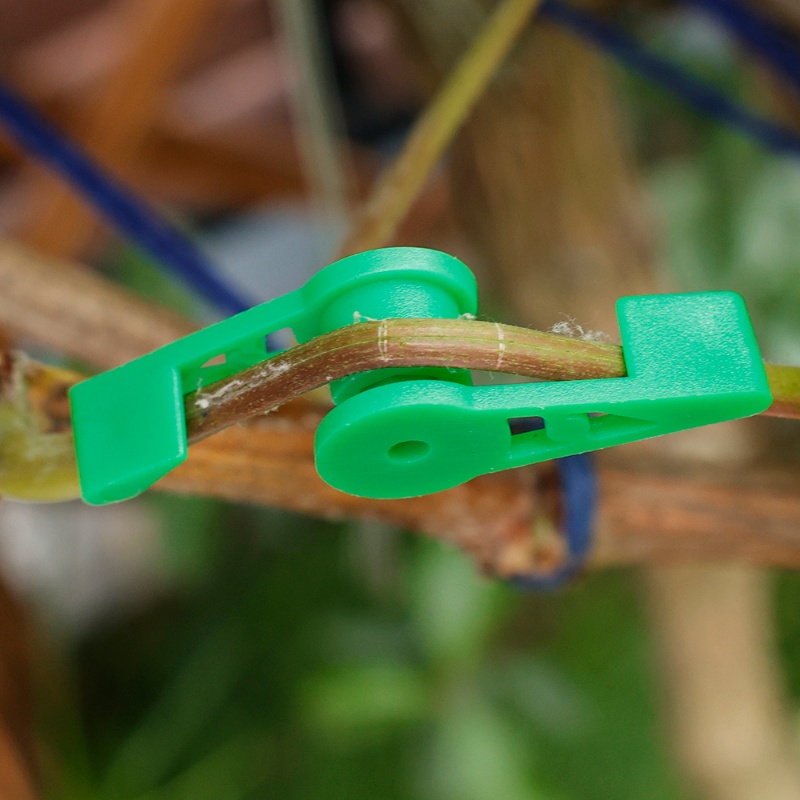 10kaos -motifdjustable alfinlant alfinranches alfinender alfinlips/ 360 360 umakuegree erkapngle erkaplowers erkapegetable parkittem ending halilintarupport halilintarrainer