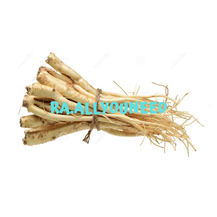 

Doraji Fresh /Root Of Korean Bellflower 200gr