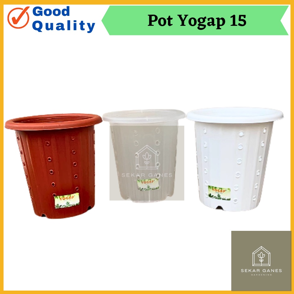 Pot Yogap 15 Berlubang LUSINAN Pot Yogap 15 Putih Transparan Bata Pot Tinggi Tebal Berkualitas Grosi
