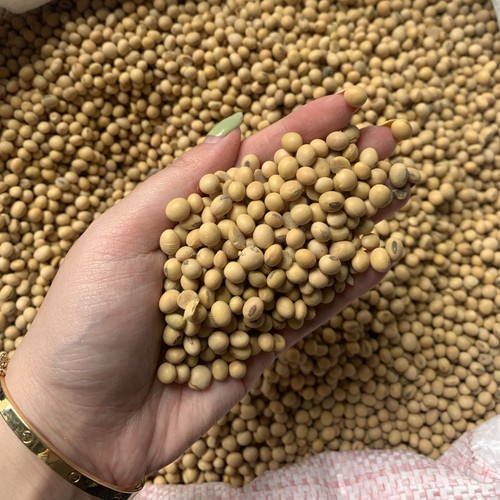 

Kacang Kedelai 1kg - OBOR FOOD