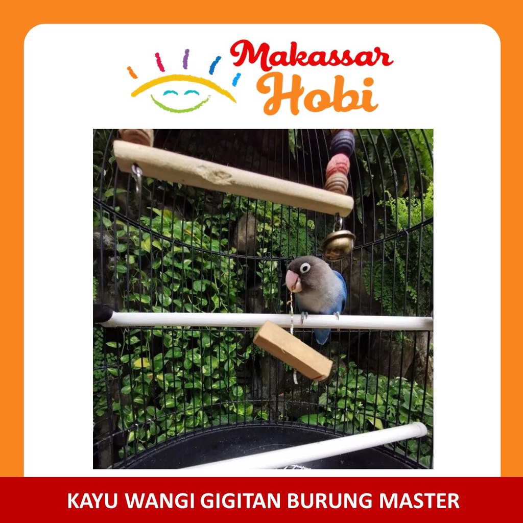 Gigitan Penurun Birahi Burung Lovebird Kayu Wangi Master Manis Gigit