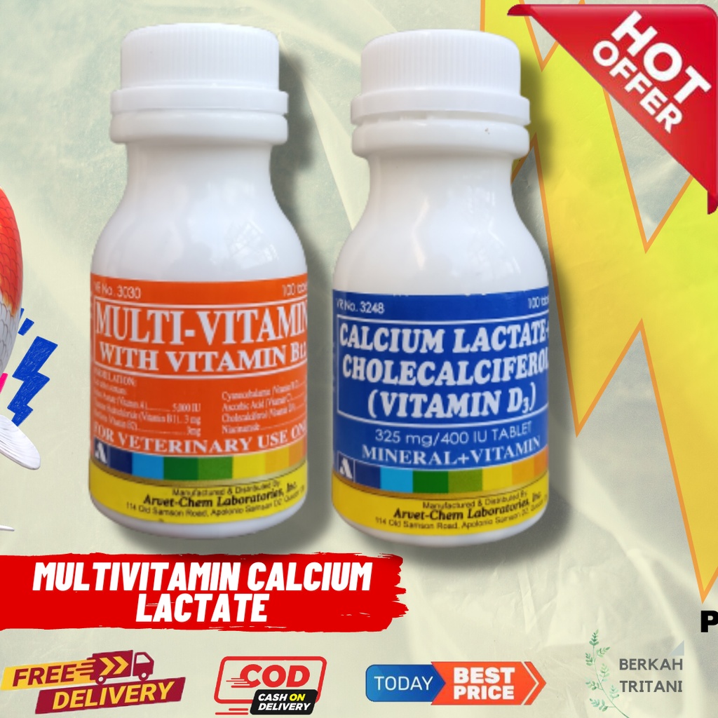 Paket MULTIVITAMIN & CALCIUM LACTATE Ayam Bangkok Filipin Laga Aduan