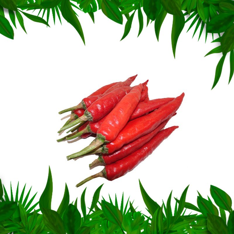 

Sayur Fresh Nuatara - Cabai Merah Tanjung 250 Gr