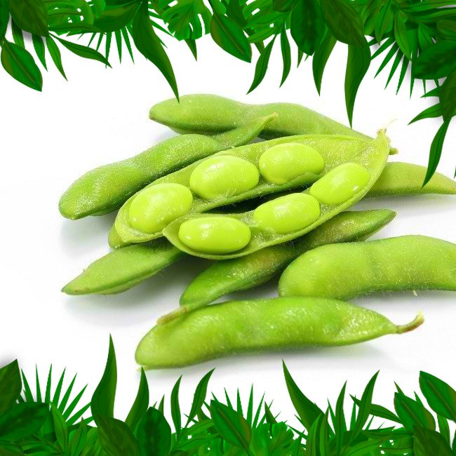 

SAYURAN FRESH NUSANTARA - EDAMAME 500GR