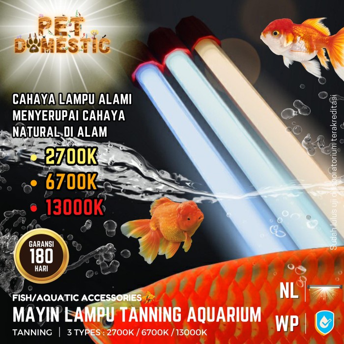 LAMPU TANING CELUP ARWANA MAYIN INTERNATIONAL IKAN AROWANA TANNING LAMP 6700K - 13000K - 2700K