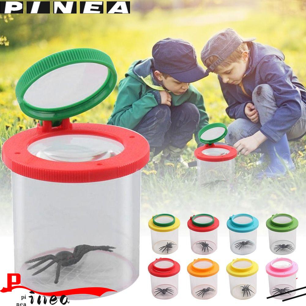 PINEAPPLE Kotak Serangga Nanas Butterfly Spider Ant Backyard Explorer Handheld Insect Observer