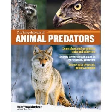 

The Encyclopedia of Animal Predators: Learn about Each Predator's