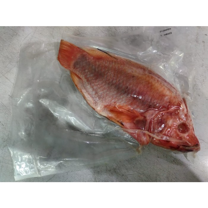 

Ikan Nila Custom Order - 1kg isi 1