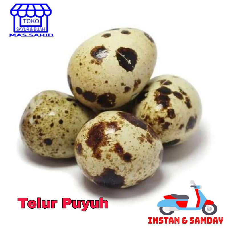 INSTAN Telur Puyuh Telur Burung Puyuh 250 gram