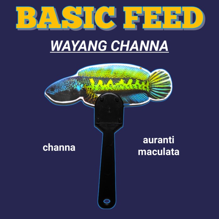 BISA COD Wayang ikan channa blue pulchra | wayang ikan channa auranti - Auranti Maculat