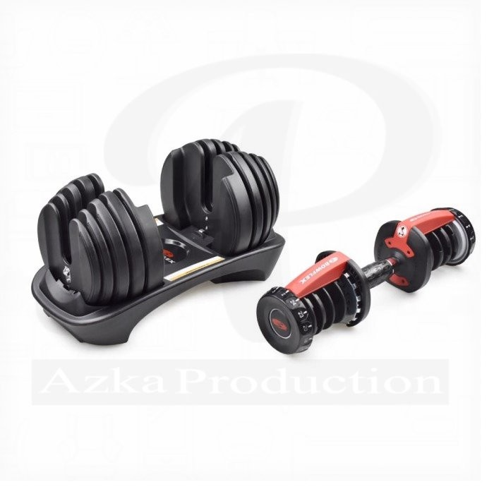 Schwinn Bowflex Dumbbell Selecttech 552i-10126981
