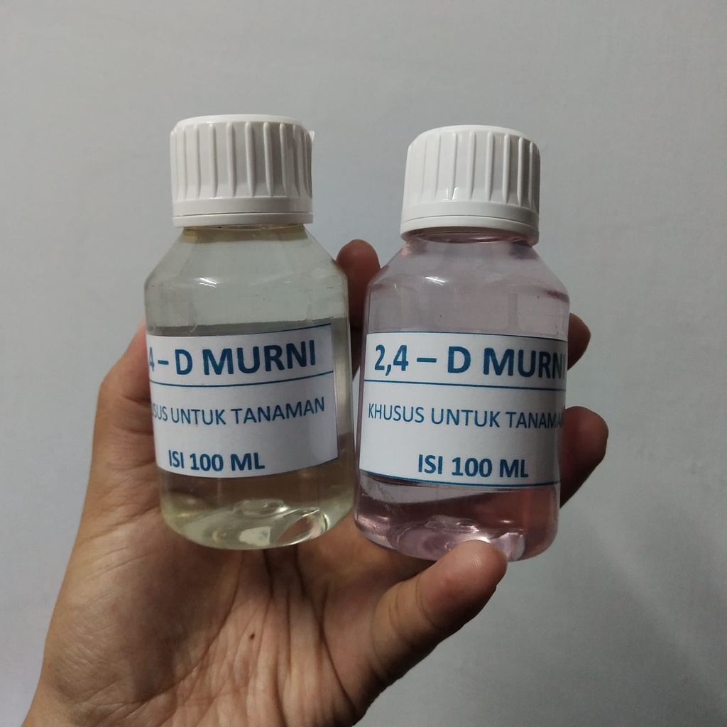 Hormon Two Four D ( 2.4-D ) Mutasi Genetik Tanaman Hias Tidak Permanen