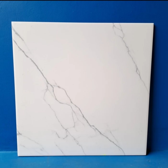 KERAMIK LANTAI 50X50 MONSTERA WHITE