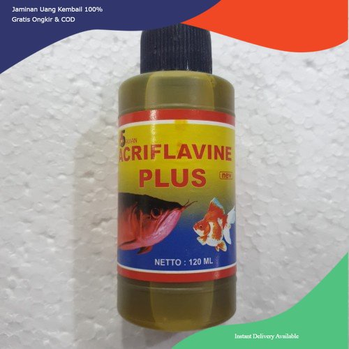 Obat kuning acriflavine plus, obat kuning ikan, obat acriflavine plus, acriflavine plus, acriflavine