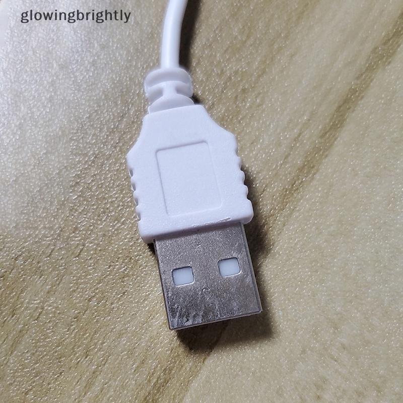 [glowingbrightly] Kabel Charger USB DC 2.0 Dari Kabel Lead Charger USB Pin Kecil Ke Kabel USB TFX