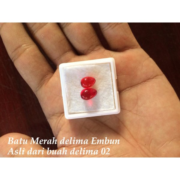 Batu merah delima asli dari delima