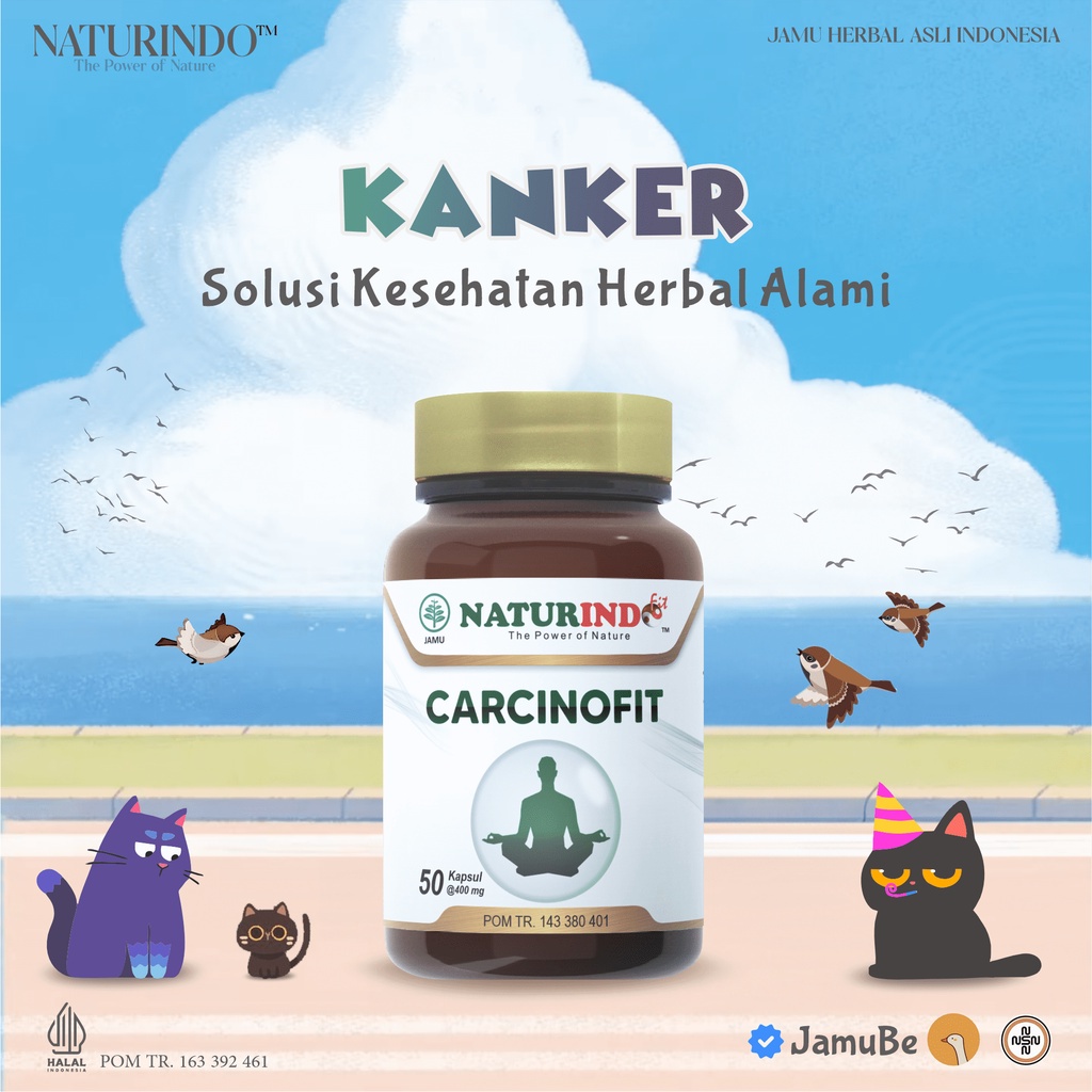 

Obat Herbal Kanker Payudara Obat Kanker serviks Paru Prostat Tumor Paling Ampuh Carcinofit Naturindo