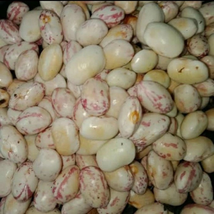 

Kacang endul 250 gr