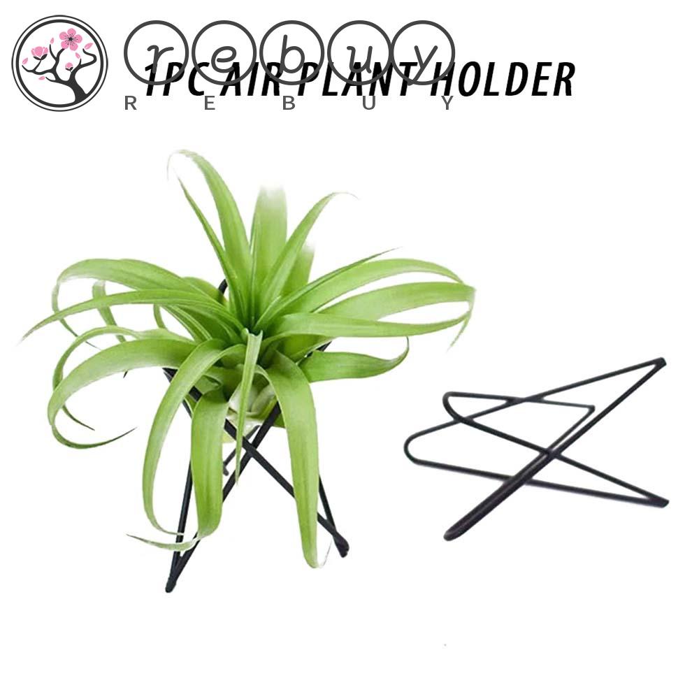 REBUY Air Plant Holder Iron Nordic Style Tabletop Ornament Rak Taman Pot Bunga Berdiri Tillandsia Stand