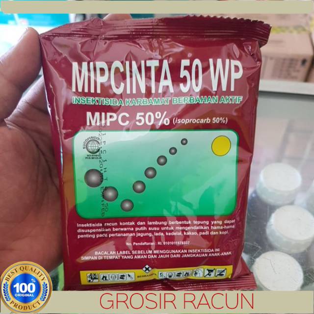 MIPCINTA 50WP UNTUK RACUN SEMUT RAYAP WERENG