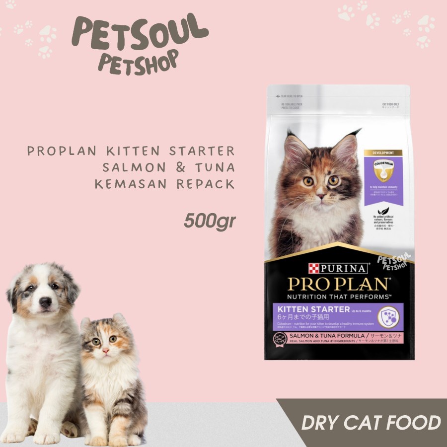 Pro Plan Kitten Starter Salmon Tuna 500gr Proplan Kitten Salmon 500gr