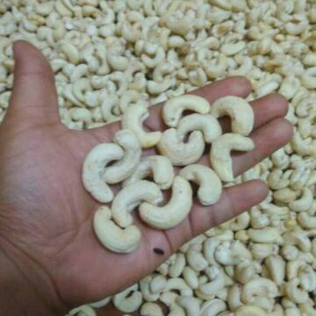 

ZAF Kacang mete mentah fresh ASLI WONOGIRI