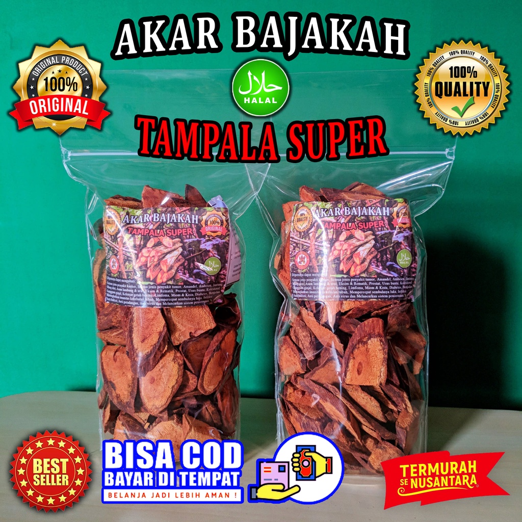 

Akar Bajakah Tampala Getah Merah Super Asli Kalimantan Termurah 400gr