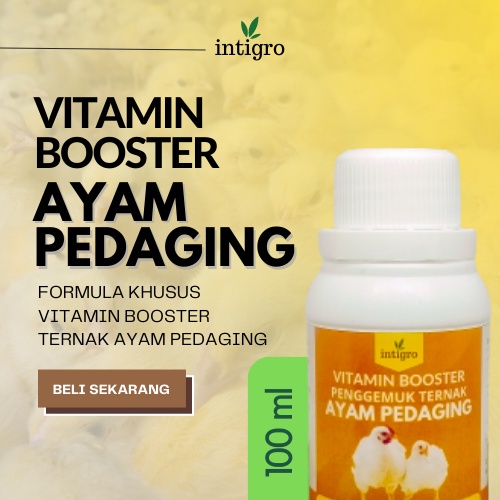 Vitamin Ayam Pedaging Broiler Joper Jawa Super / Vitamin Penggemuk Ayam Kampung Biar Cepat Besar _ Green Herbal