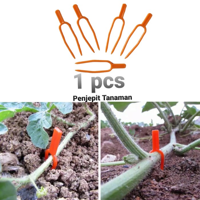 Klip Penjepit Tanaman Rambat Jepitan Batang Rambat