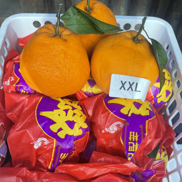 

✨NEW✨ -Jeruk dekopon | jeruk sumo | jeruk | jeruj kupas - 1 dus - Keranjang- 6kg- 2.2.23