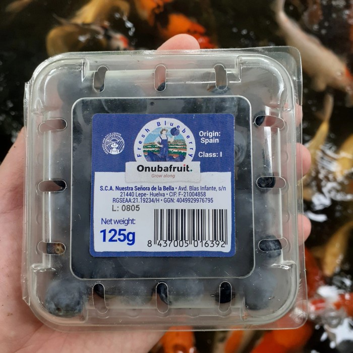 

✨NEW✨ -Blueberry fresh import- 2.2.23