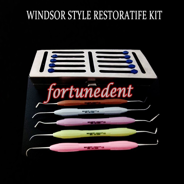 WINDSOR DENTAL WINSOR RESTORATIFE KIT TRAY