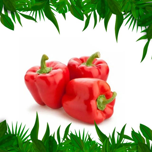 

SAYURAN FRESH NUSANTARA- PAPRIKA 1 pcs