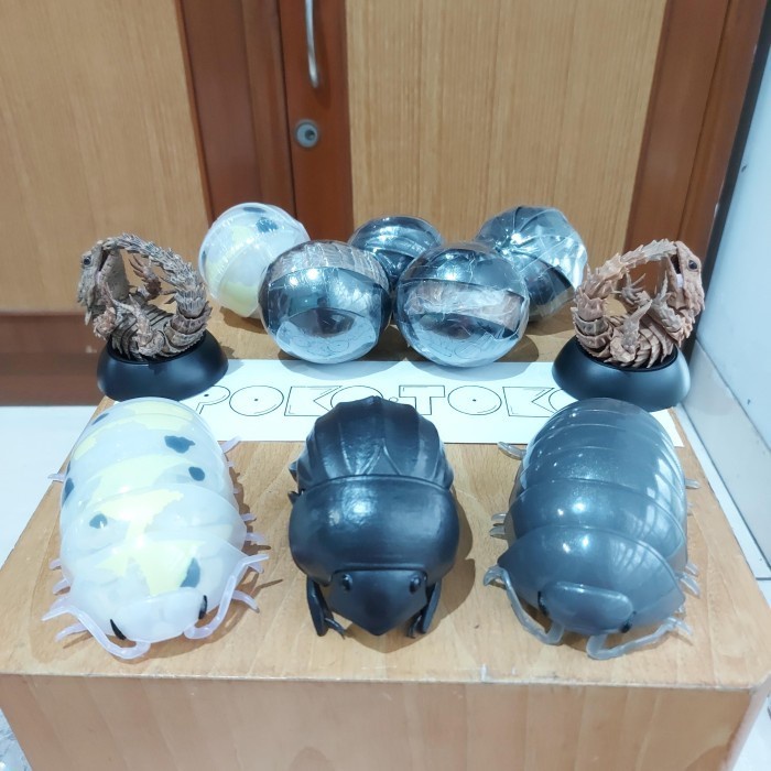 RANDOM Armadillo Lizard Dangomushi 07 Ikimono Bandai Gacha Figure