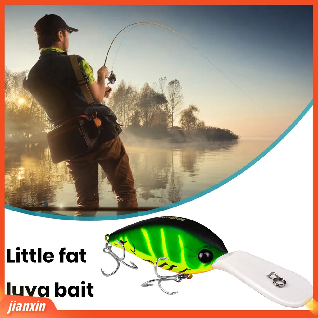 (In Stock) 12.5cm /24.5g Umpan Palsu 3D Simulasi Fisheye Tajam Kait Realistis Menggoda Angling Fatty Mengambang Batu Umpan Memancing Luar Ruangan