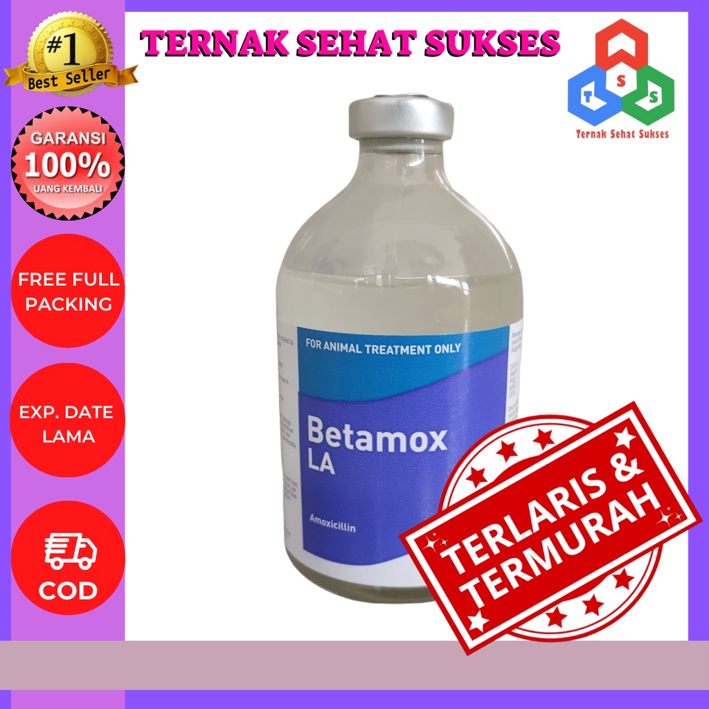 Betamox LA 100 ml Inj TSS