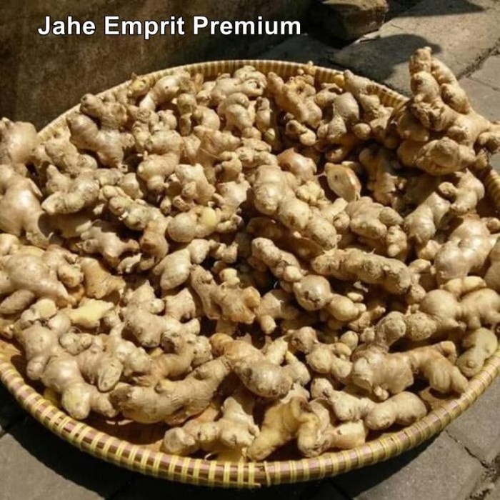 

jahe emprit segar 1kg premium
