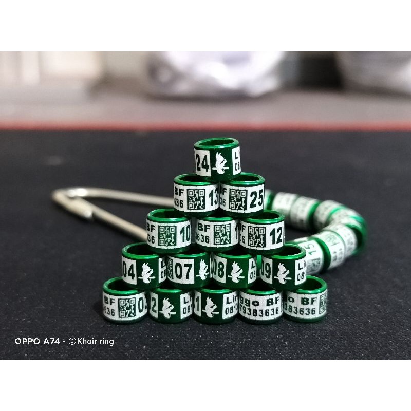 RING BURUNG MURAH MEWAH KEREN MURAI BATU KENARI LOVEBIRD KUTUT KACER MERPATI PUTER PELUNG JALAK DLL