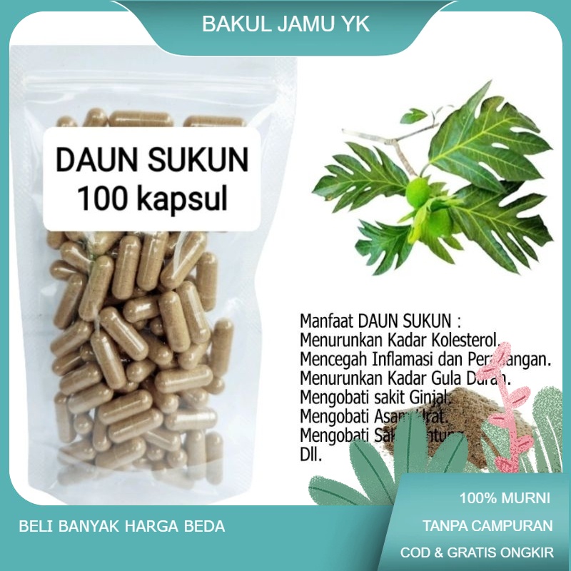 

Daun SUKUN isi 100 kapsul untuk sakit ginjal asam urat