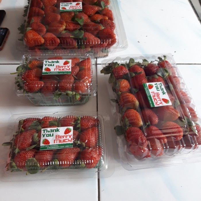 ✨NEW✨ -Buah Strawberry Fresh Segar Grade A 500 gram- 2.2.23
