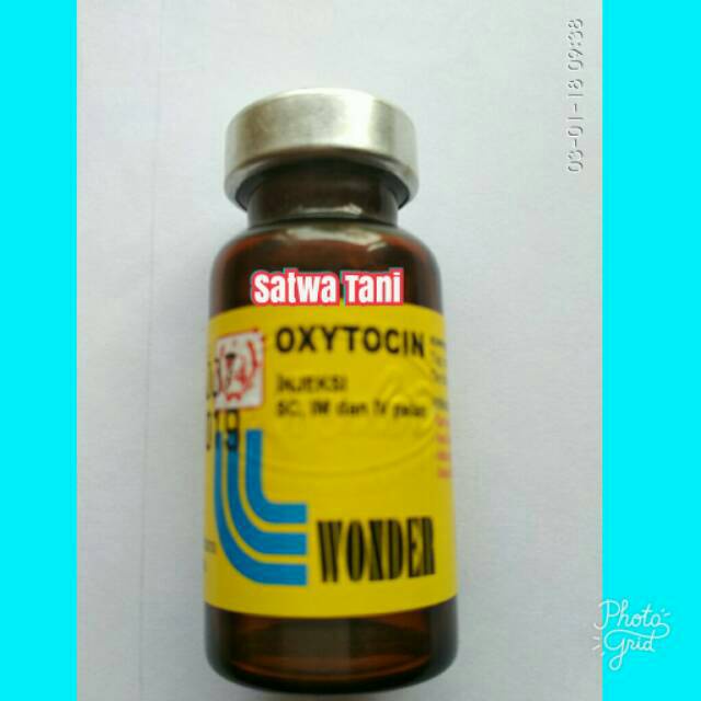 JUAL OXYTOCIN INJEKSI WONDER 10 ML OBAT SAPI KAMBING KUDA BABI EMACU MELAHIRKAN INDUKSI KELAHIRAN